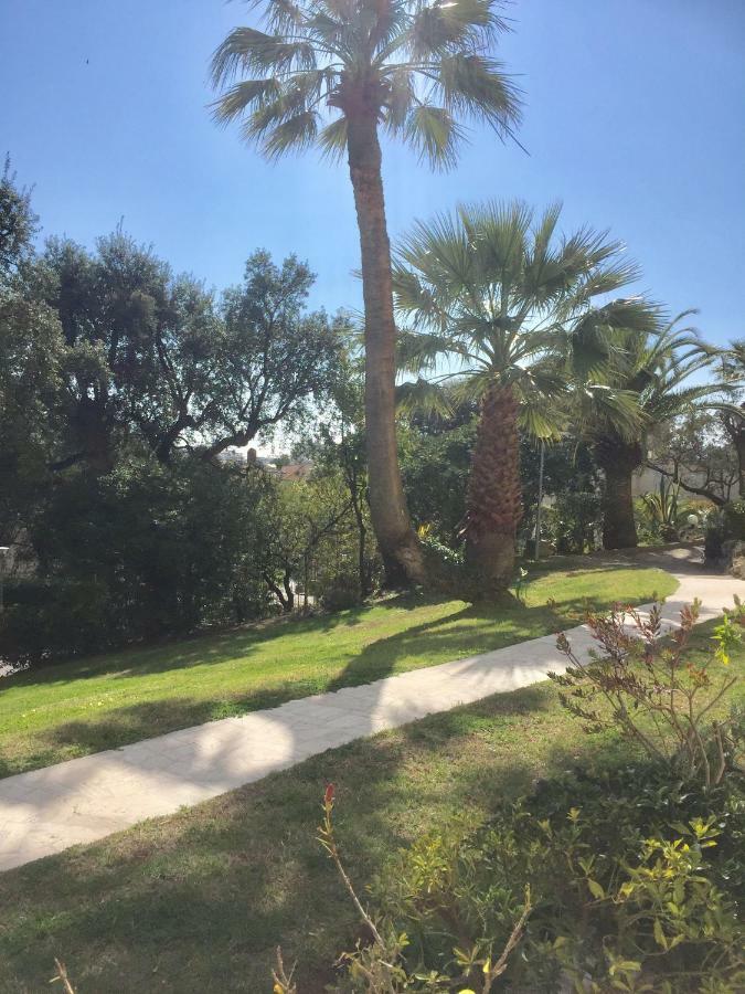Appartement Studio Alexandra Palace Cannes
